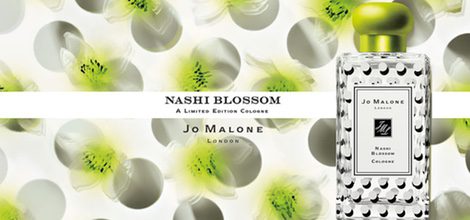 Campaña Nashi Blossom