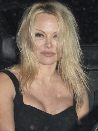 Pamela Anderson con la melena a lo loco