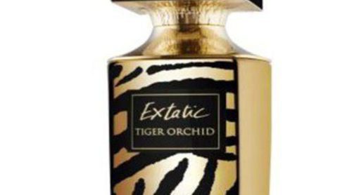 'Extatic Tiger Orchid' de Balmain, el olor de lo exótico