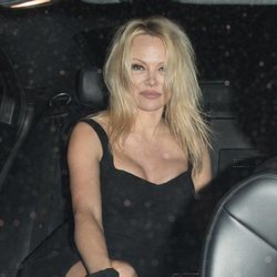 Pamela Anderson con la melena suelta en Hollywood