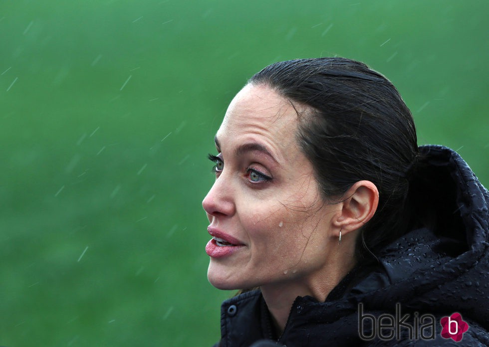 Angelina Jolie se moja por los refugiados Sirios