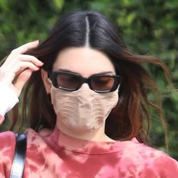 Kendall Jenner vuelve a las mechas californianas